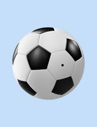 费尔明：我不认为我们是欧冠夺冠热门，但确实很